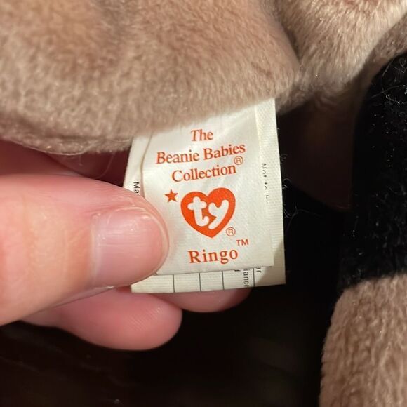 Ringo the Racoon Original Ty Beanie Baby Collection 1995 11” long Great Conditi… - Picture 7 of 8